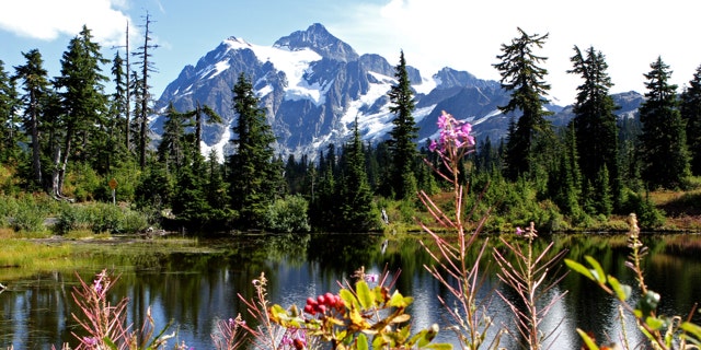 Mt. Shuksan in North Cascades National Park