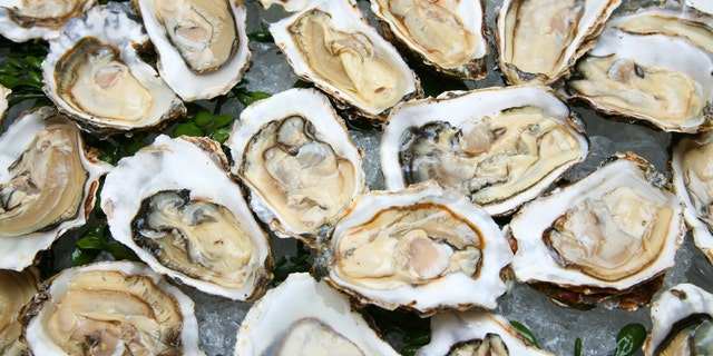 Oyster
