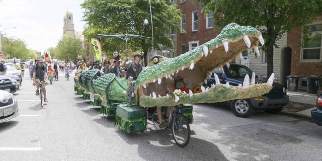 Team: Tic Tock The Croc