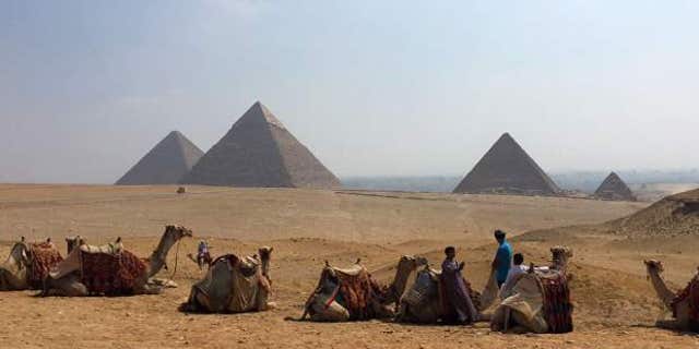 Camels rest between rides with their owners against the backdrop of the pyramids in Giza, Egypt. With Egypt’s once-thriving tourism industry in decline, visitors face smaller crowds-- but eager tour guides and pushier souvenir vendors.