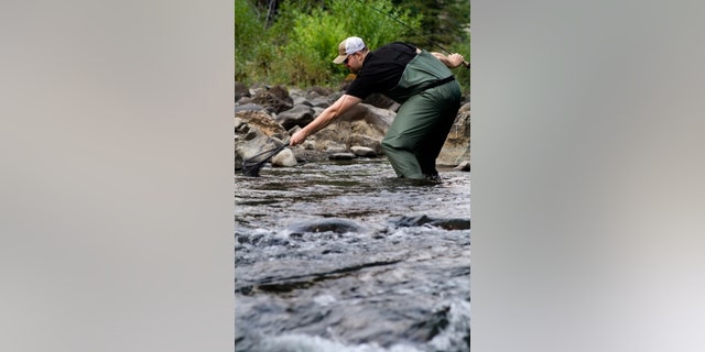 Fishing in Yellowstone River.