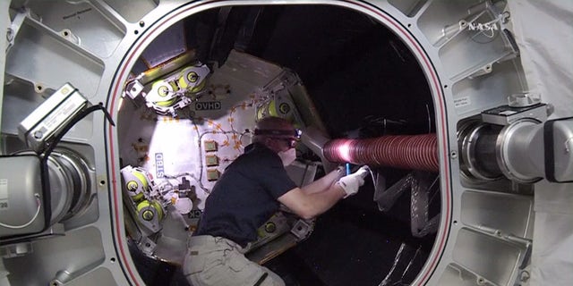 Astronaut Jeff Williams inside BEAM.