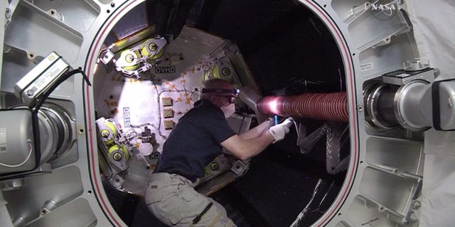 Astronaut Jeff Williams inside BEAM.