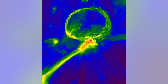 Snapshot from a simulation of the first stars in the universe, showing how the gas cloud might have become enriched with heavy elements. The image shows one of the first stars exploding, producing an expanding shell of gas (top) which enriches a nearby cloud, embedded inside a larger gas filament (center). The image scale is 3,000 light-years across, and the color map represents gas density, with red indicating higher density. (Britton Smith, John Wise, Brian O’Shea, Michael Norman, and Sadegh Khochfar)