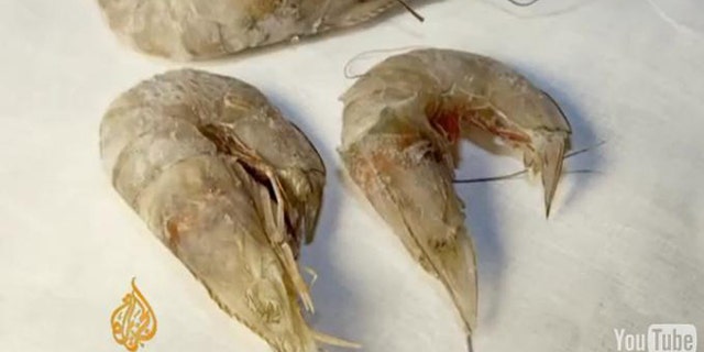 Eyeless shrimp and fish with lesions are becoming common, with BP oil pollution believed to be the likely cause.