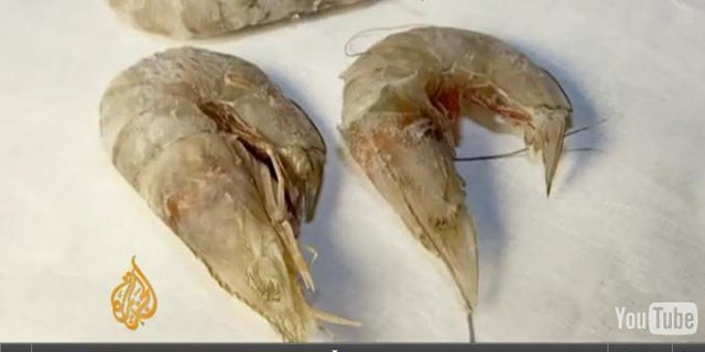 Eyeless shrimp and fish with lesions are becoming common, with BP oil pollution believed to be the likely cause.