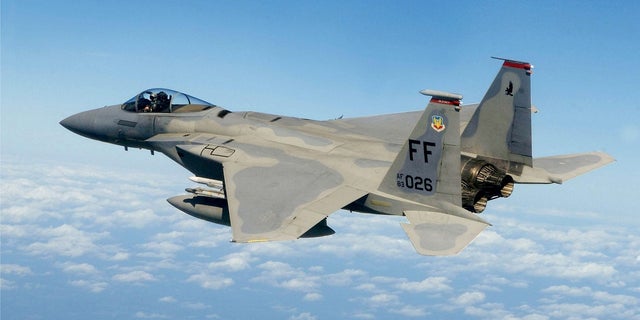 A family claims low-flying U.S. fighter jets "spooked" their pet pony to death last week. (U.S. Air Force)