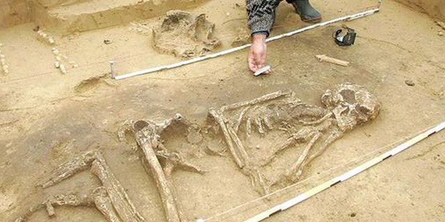 An archaeologist excavating a skeleton.