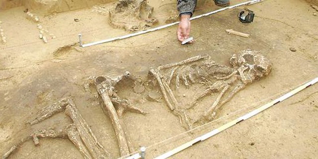 An archaeologist excavating a skeleton.