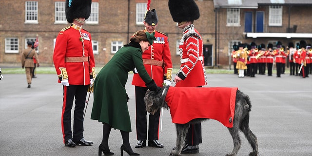She appeared pleased to meet the Irish Guard's mascot, an Irish Wolfhound.