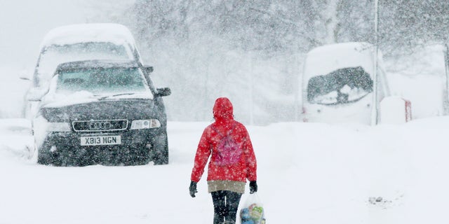 A woman walks through the heavy snow in Stanley, England, Monday, Jan. 21, 2013. The big freeze across Britain is here to stay, with more heavy snow and falling temperatures are forecasted for Britain and Scotland. (AP Photo/Scott Heppell)