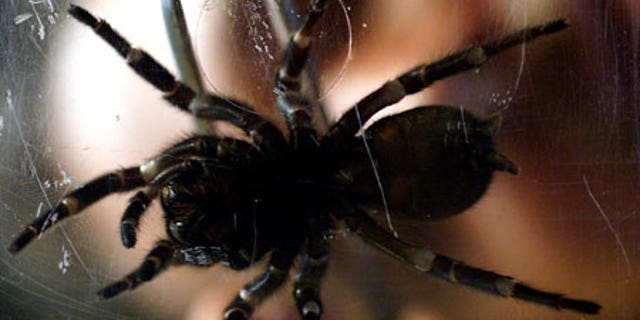 f6220785-