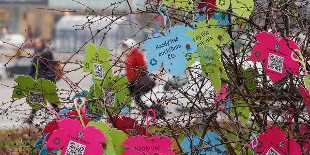 Artificial leaves with description reading "each leaf absorbs CO2" hang at a tree in Warsaw, Poland, Friday, Nov. 22, 2013. The U.N. climate change conference that is to lay the groundwork for a new pact to prevent global warming, is scheduled to close Friday. (AP Photo/Czarek Sokolowski)i