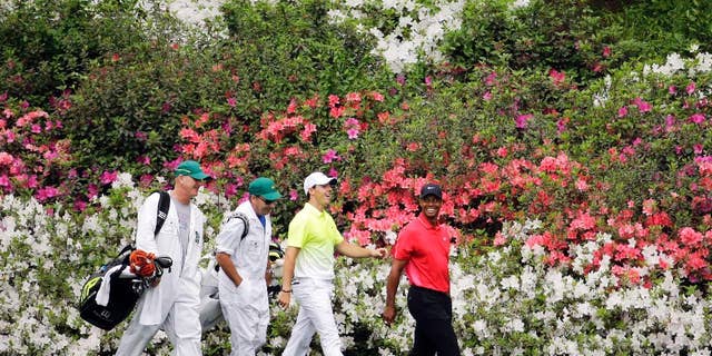 Tiger Woods, right, walks with Rory McIlroy, of Northern Ireland, and their caddies along the 13th fairway during the fourth round of the Masters golf tournament Sunday, April 12, 2015, in Augusta, Ga. (AP Photo/Matt Slocum)