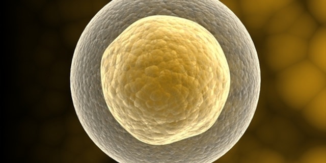 For the first time, researchers have created functioning human lung cells from stem cells.