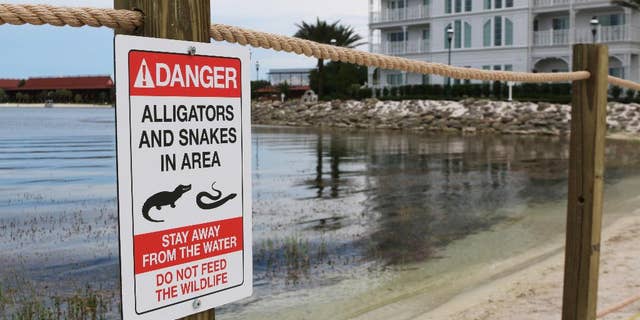 FILE - In this Friday, June, 17, 2016 file photo released by Walt Disney World Resort, a new sign is seen posted on a beach outside a hotel at a Walt Disney World resort in Lake Buena Vista, Fla., after a 2-year-old Nebraska boy killed by an alligator at Disney World. Matt Graves, the father of the toddler killed by an alligator at Disney on June 14, told rescue officials two alligators were involved in the attack, according to emails from the Reedy Creek Fire Department. (Walt Disney World Resort via AP, File)