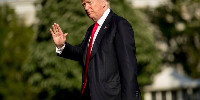 f9edde84-trump noko