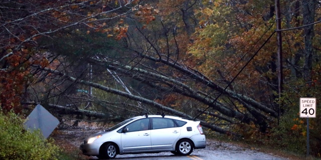 A motorist turns around after finding downed trees blocking Flying Point Road during a storm in Freeport, Maine
