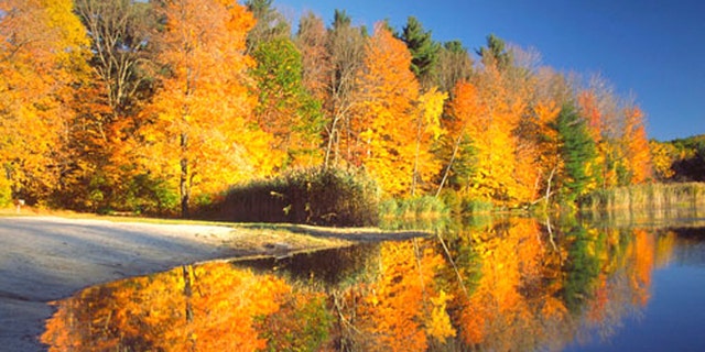 The word “fall” likely stems from “the fall of the leaves” or “falling of the leaves,” phrases poets liked, according to Merriam-Webster. Not long after, people shortened the phrase to “fall” in the 1600s.