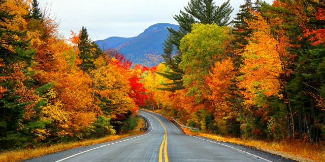 “Fall” and “autumn” were both once known as “harvest,” according to Dictionary.com. And “harvest” is technically the earliest name for this season.