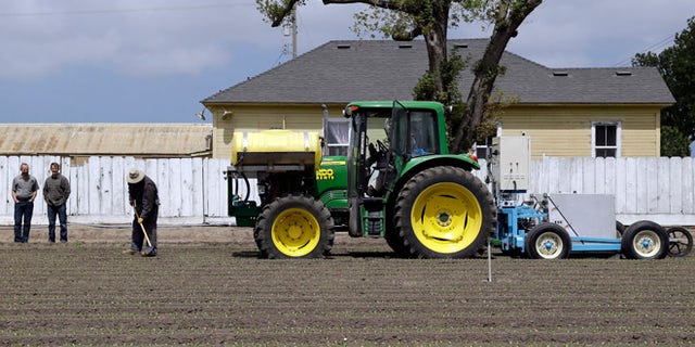 In this May 23, 2013, photo, the lettuce bot is dragged by a tractor during tests in Salinas, Calif. In the Salinas Valley, the lettuce capital of the world, entrepreneurs with the Silicon Valley company Blue River Technology are testing the Lettuce Bot, a boxy robotic machine that can thin fields of lettuce, a job that now requires detailed hand work by 20 farm workers.