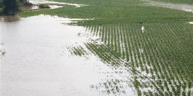 Farm lands north of Yazoo City, Miss., begin to go under water May 9.