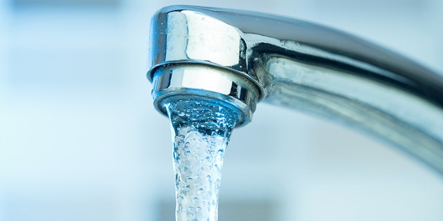 The Environmental Protection Agency has called for drinking water to contain zero traces of lead due to health hazards. 