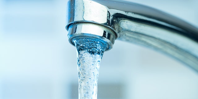 The Environmental Protection Agency has called for drinking water to contain zero traces of lead due to health hazards. 