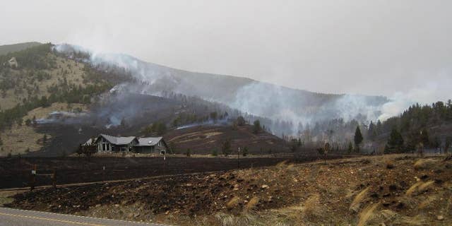 In this photo released by the U.S. Forest Service, the Wildland Fire burns along Nichols Creek Saturday, March 28, 2015, near Red Lodge, Montana. Authorities evacuated a ski lodge in southern Montana because of a wind-driven wildfire heading toward it. The wildfire was reported about 1:45 p.m. Saturday and had burned an estimated 200 acres of grass and timber about 4 miles west of the community of Red Lodge. The fire began on open private land, but it was driven by winds gusting 35 to 50 mph into the Custer National Forest, where the Red Lodge Mountain Resort ski area is located. (AP Photo/U.S. Forest Service)