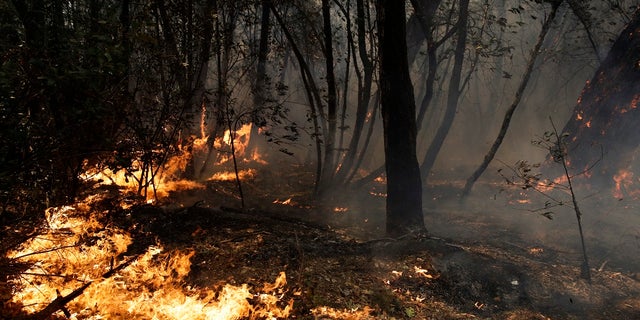 The wildfires have devastated Sonoma County, killing at least 31 people as of Friday, Oct. 13, 2017.