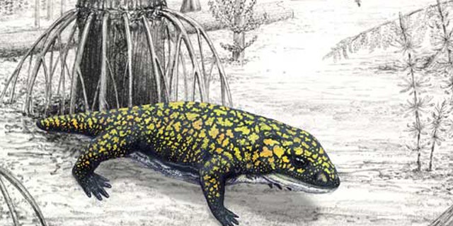An illustration of Fedexia striegeli in the environment of the Pennsylvanian Period (300 million years ago).