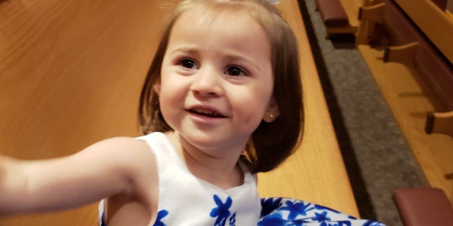 Felicity Karam, 2, died after being struck by an ice cream truck in Missouri.