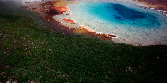File photo: The Silex Spring in the Fountain Paint Pot area in Yellowstone National Park, Wyoming, June 21, 2011. (REUTERS/Jim Urquhart)