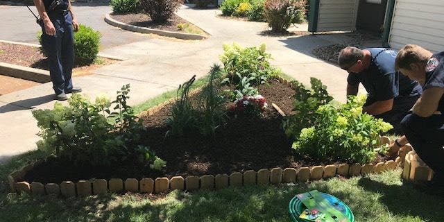 The majority of the gardening supplies were donated, Jackson said.