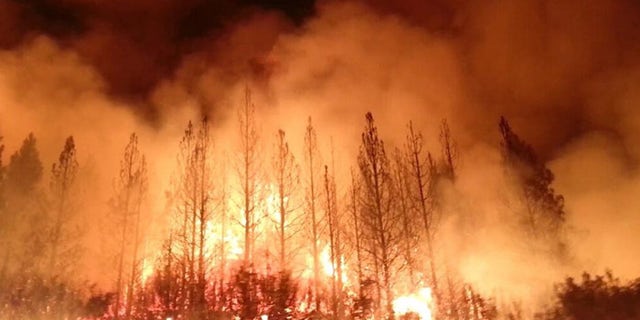 This photo obtained August 23, 2013 courtesy of the US Forest Service, shows the Rim Fire as it burns near Yosemite National Park, California. The wildfire outside Yosemite National Park,  is one of more than 50 major brush blazes burning across the western United States , has more than tripled in size overnight and still threatens about 2,500 homes, hotels and camp buildings. Fire officials say that the blaze burning in remote, steep terrain has grown to more than 84 square miles (135 km) and was only 2 percent contained on August 22, 2013, down from 5 percent a day earlier. AFP PHOTO / US FOREST SERVICE == RESTRICTED TO EDITORIAL USE / MANDATORY CREDIT: "AFP PHOTO / US FOREST SERVICE / NO MARKETING / NO ADVERTISING CAMPAIGNS / DISTRIBUTED AS A SERVICE TO CLIENTS ==HO/AFP/Getty Images