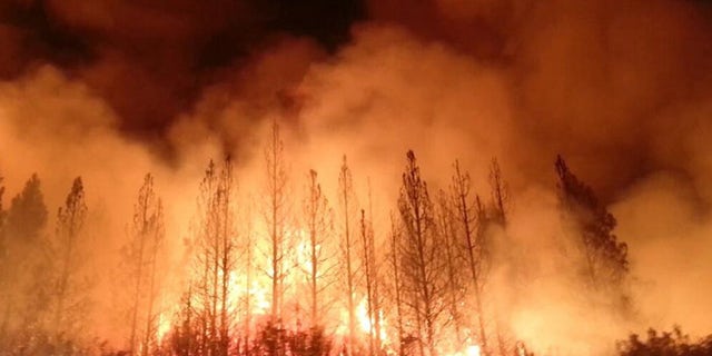 This photo obtained August 23, 2013 courtesy of the US Forest Service, shows the Rim Fire as it burns near Yosemite National Park, California. The wildfire outside Yosemite National Park, is one of more than 50 major brush blazes burning across the western United States , has more than tripled in size overnight and still threatens about 2,500 homes, hotels and camp buildings. Fire officials say that the blaze burning in remote, steep terrain has grown to more than 84 square miles (135 km) and was only 2 percent contained on August 22, 2013, down from 5 percent a day earlier. AFP PHOTO / US FOREST SERVICE == RESTRICTED TO EDITORIAL USE / MANDATORY CREDIT: "AFP PHOTO / US FOREST SERVICE / NO MARKETING / NO ADVERTISING CAMPAIGNS / DISTRIBUTED AS A SERVICE TO CLIENTS ==HO/AFP/Getty Images