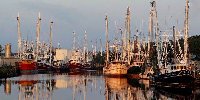 FILE: May 8, 2010: Gulf Coast fishing boats docked in the harbor at Bayou LaBatre, Alabama.