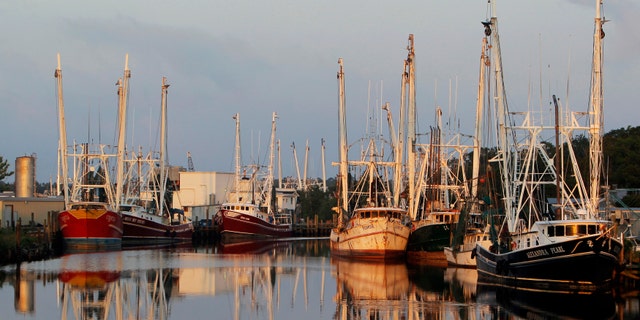 FILE: May 8, 2010: Gulf Coast fishing boats docked in the harbor at Bayou LaBatre, Alabama.