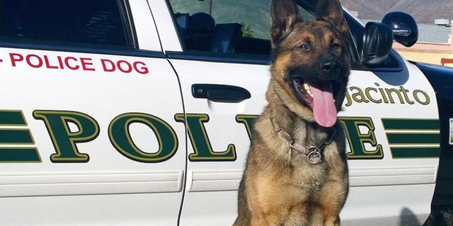Sultan, a Belgian Malinois-German shepherd mix at the San Jacinto Police Department, was killed responding to a barricaded suspect.