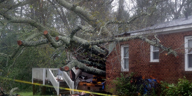 A fallen tree is shown after it crashed through the home where a woman and her baby were killed in Wilmington, North Carolina, after Tropical Storm Florence made landfall on Friday.