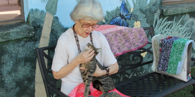 Officials say 90-year-old Marilyn knits blankets for cats at an animal shelter, but needs more yarn.