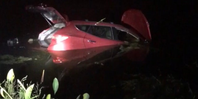 Two Florida officers dove into the water, shattered car window and pulled an 82-year-old driver to safety.
