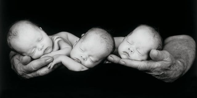 Anne Geddes photos