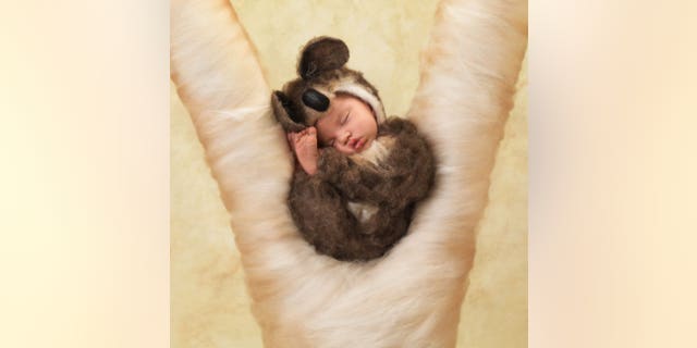 Anne Geddes photos
