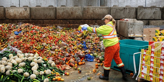 Researchers categorized waste in 22 different food groups and found that fruits, vegetables and mixed fruit and vegetable dishes were wasted most, equaling 39 percent of the total.