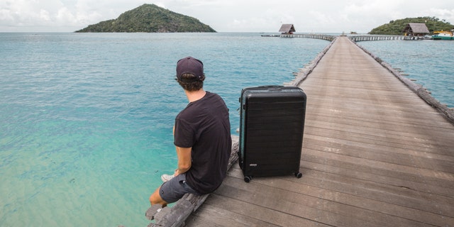 Ebags Fortis 30-inch Hardside Spinner (eBags)
