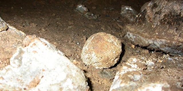Researchers are using DNA from fossilized poop of the cave hyena, an ancient mammal which went extinct during the late Pleistocene approximately 20,000 years ago, to understand the genetics and diet of this species.