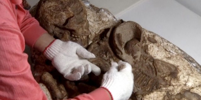 Archaeologists discover 4,800-year-old fossil of mother cradling a baby |  Fox News