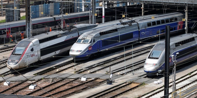 File photo - TGV trains (high speed train) are parked at a SNCF depot station in Charenton-le-Pont near Paris, France, during a national railway strike by French railway unions workers from the France's rail-operator SNCF, June 7, 2016. (REUTERS/Charles Platiau)