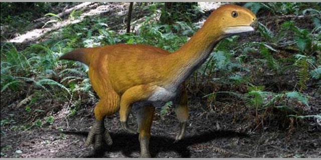 Life reconstruction of Chilesaurus diegosuarezi (Credit: Nobu Tamura)
